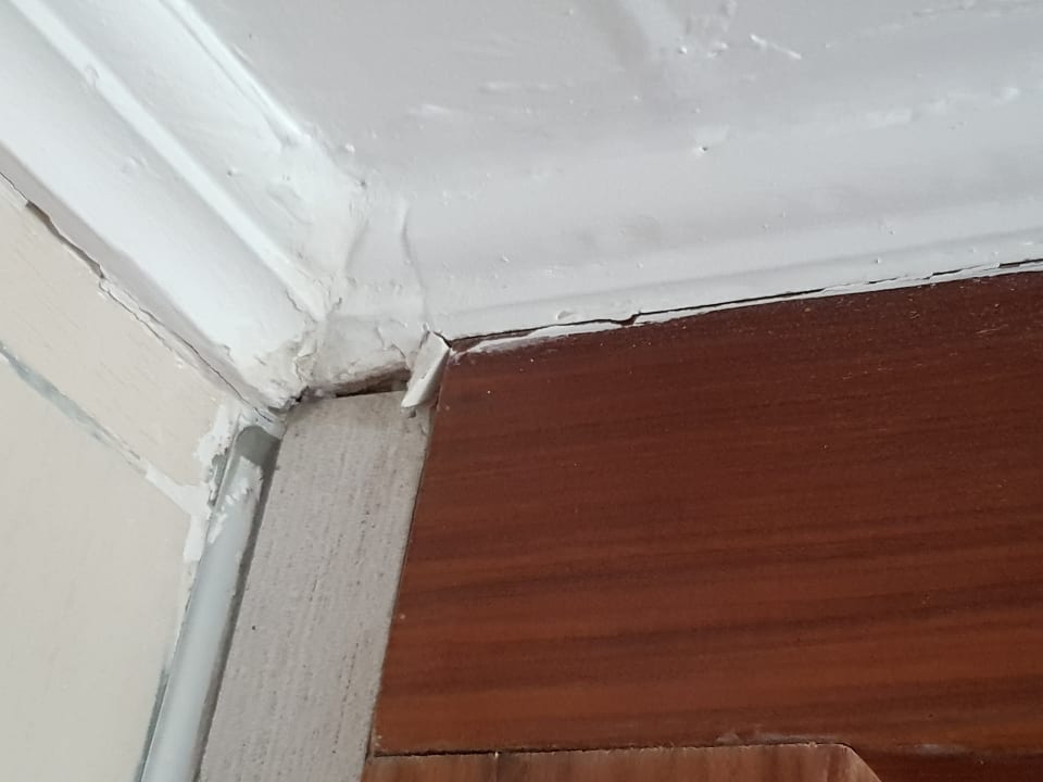 Zimmer Kamelya Aishen Club