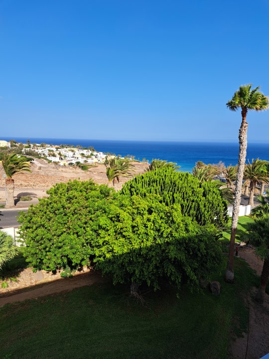 Ausblick allsun App.-Hotel Esquinzo Beach