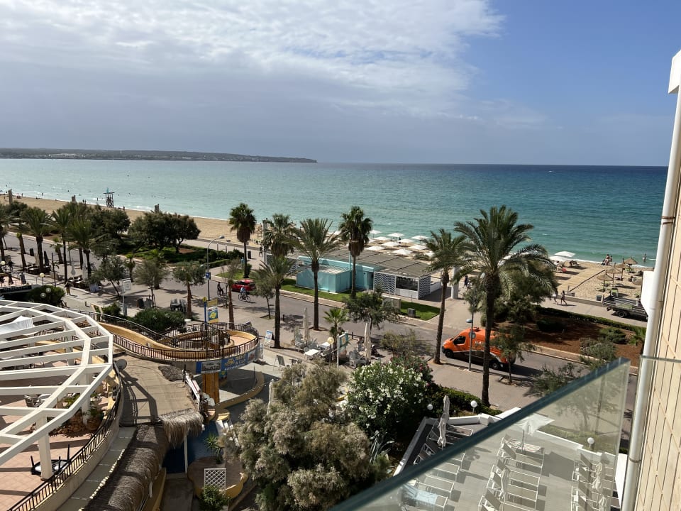 Ausblick HM Tropical