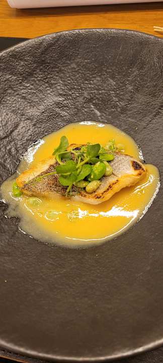 Gastro Arycanda Kirman Premium