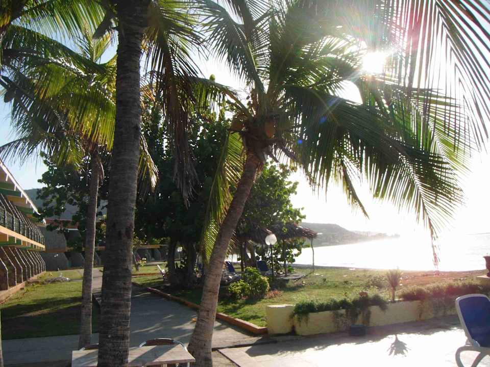 Schattiges Plätzchen Hotel Islazul Costa Morena