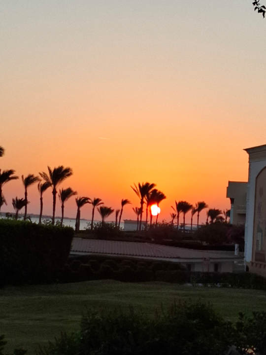 Ausblick Palm Royale Resort - Soma Bay