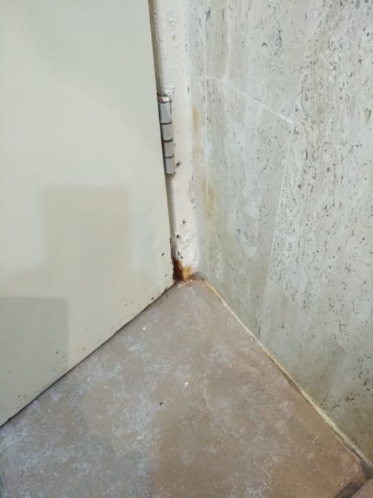 Bad Viva Maya by Wyndham - All Inclusive Resort