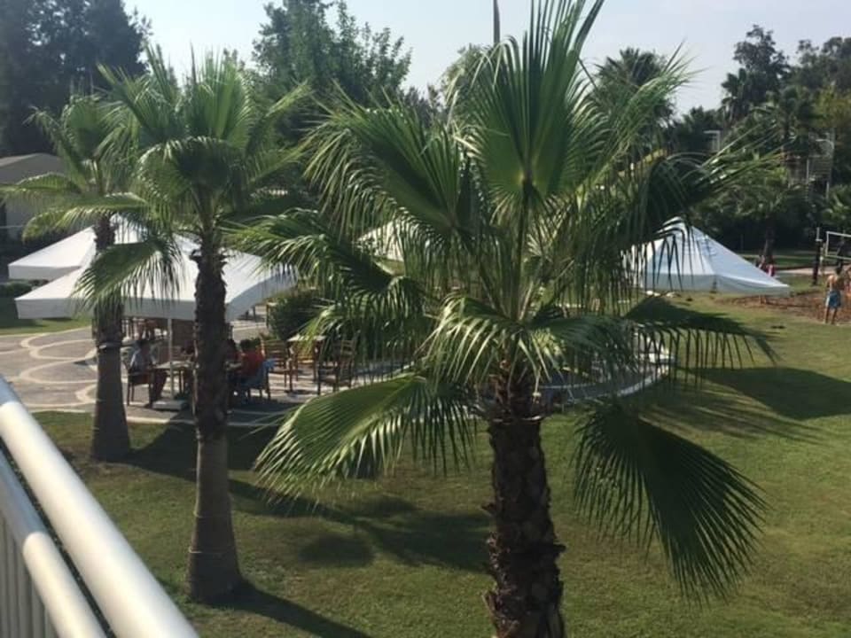 Bar in Gartenanlage Club Sidelya Hotel