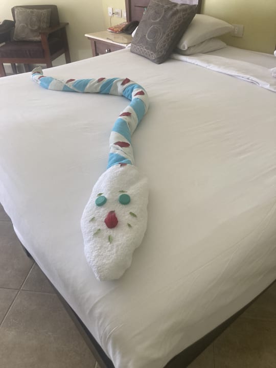 Zimmer Casa Mare Resort