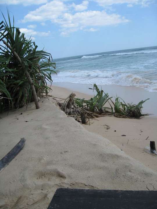 Der restliche Stand Hotel Haus am Meer Wilde Ananas