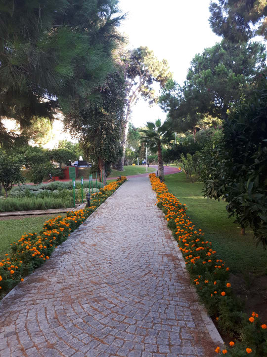Gartenanlage Pine Beach Belek