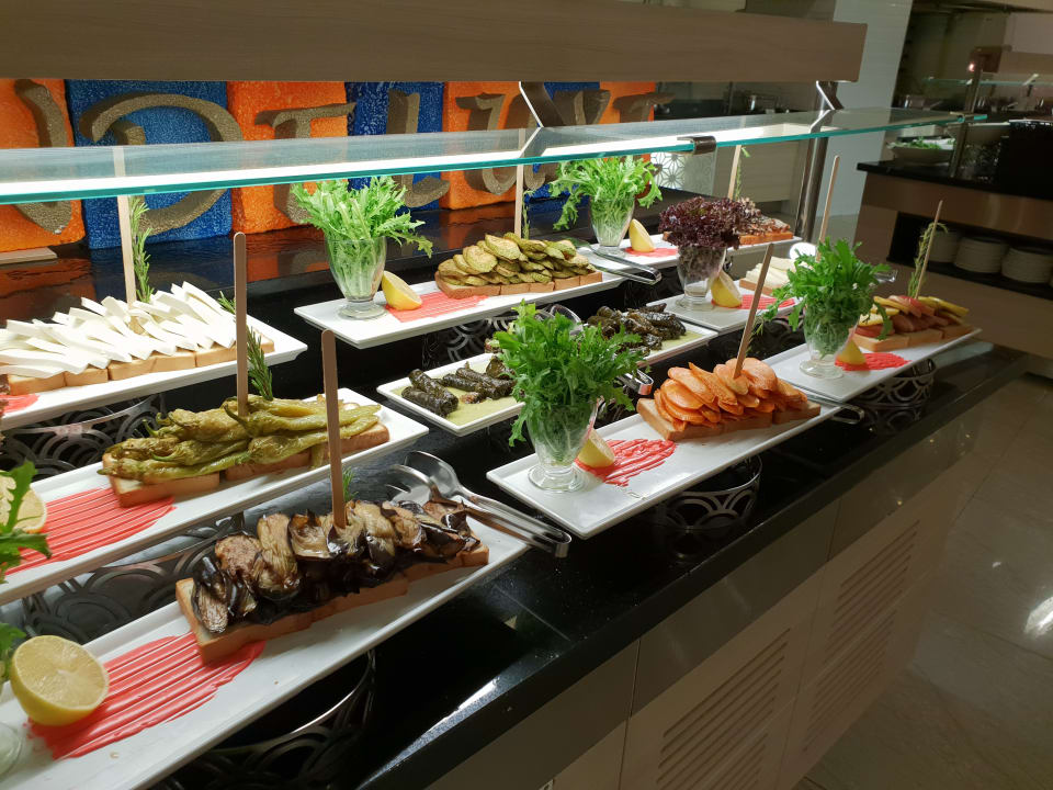 Gastro Xoria Deluxe