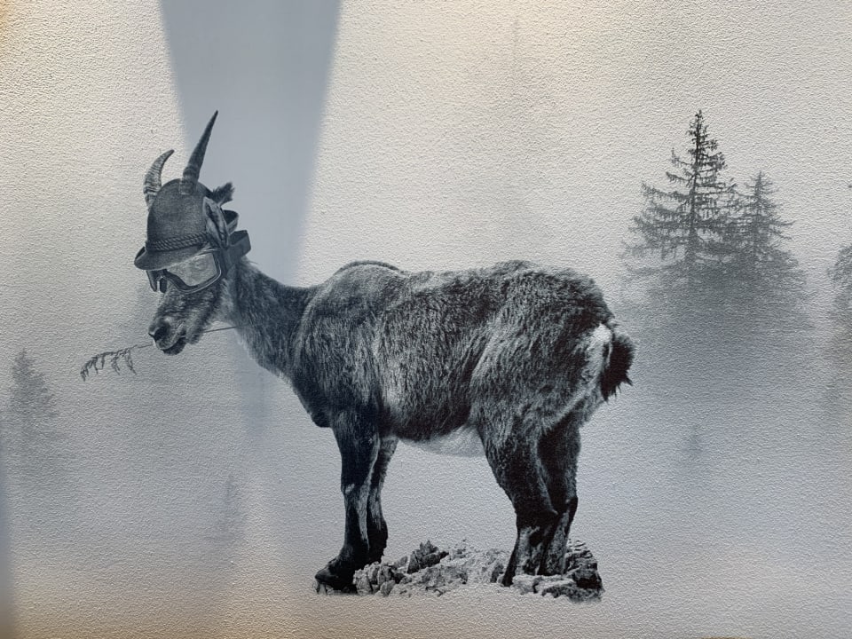 Lobby Luis und die Buabm - Gasthof Jenesien