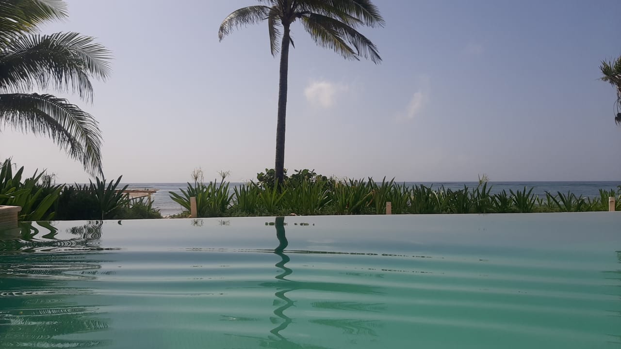 Pool Akumal Bay Beach & Wellness Resort