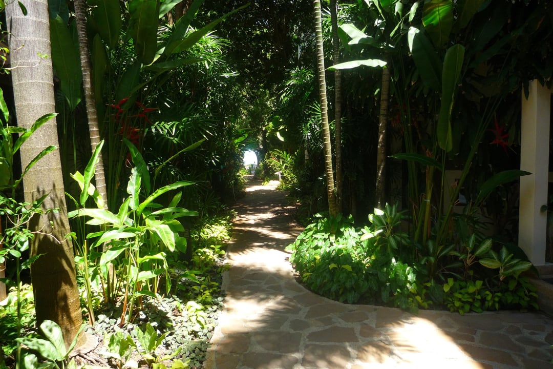 Weg zum Strand, direkt vor unserer Villa Samui Natien Resort
