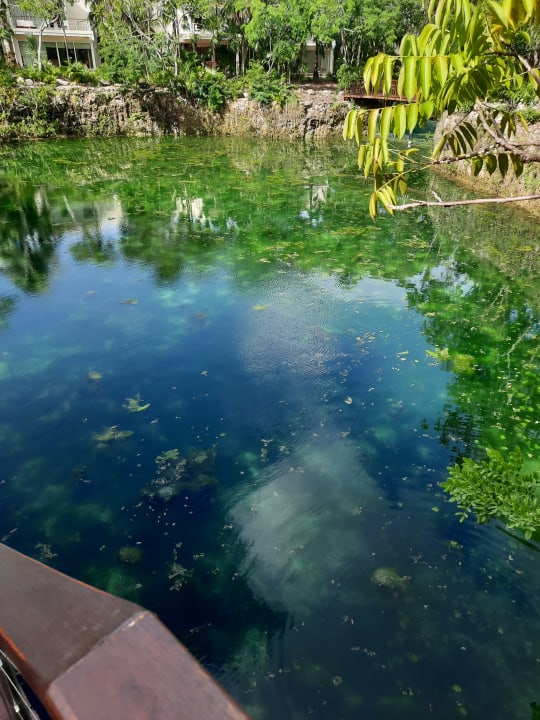 Gartenanlage Blue Diamond Luxury Boutique Hotel