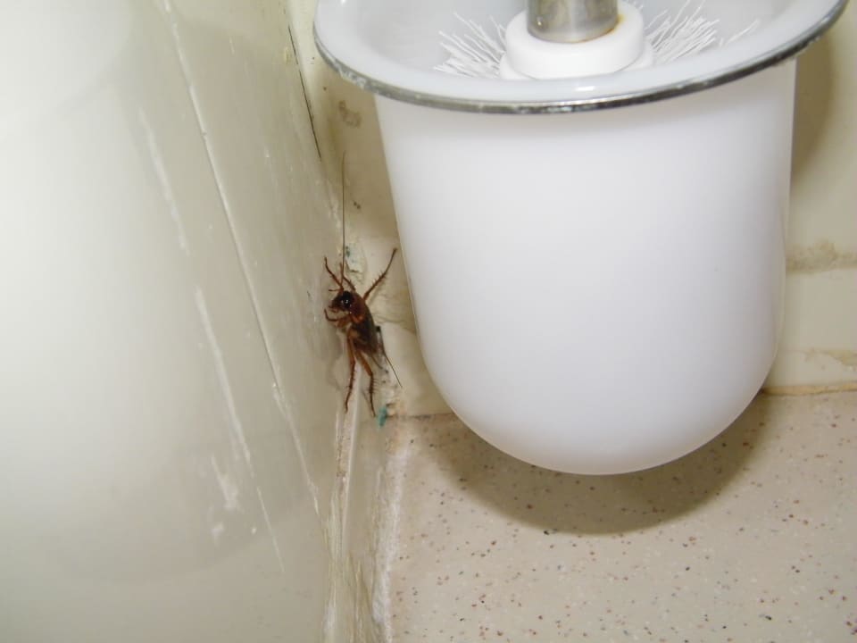 Ohne Worte Hotel El Mouradi Port El Kantaoui