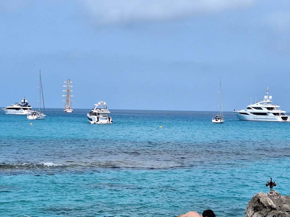 Ausblick Globales Don Pedro