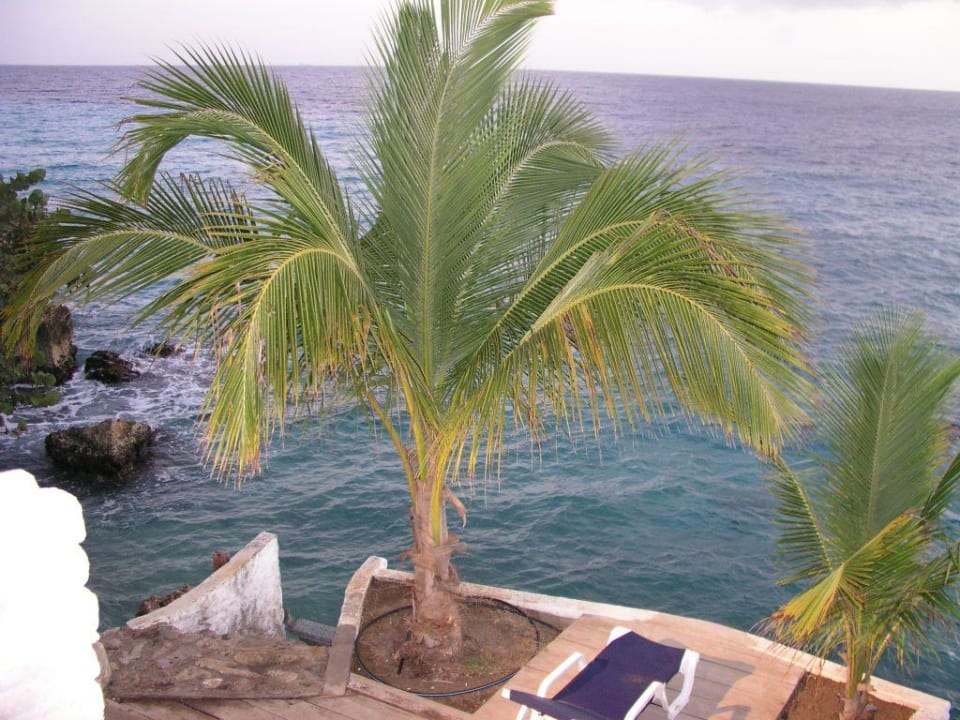 Meerblick Sun Reef Village on Sea