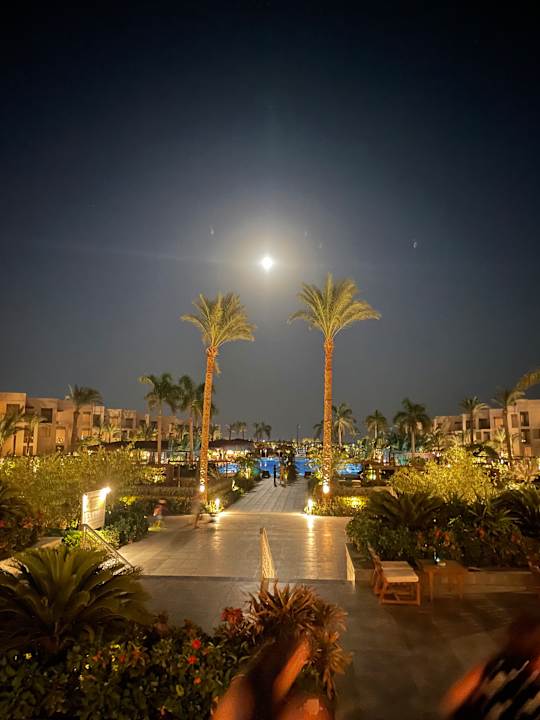 Ausblick Steigenberger Resort Ras Soma