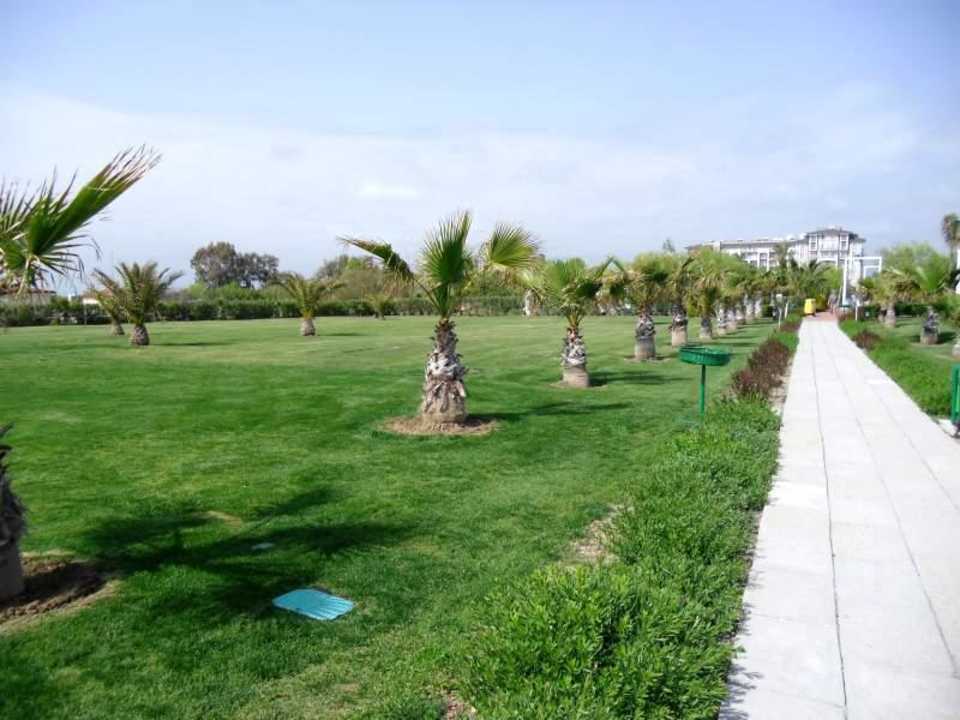 Liegewiese vor dem Strand Sunis Elita Beach Resort & Spa