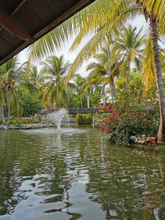 Ausblick Iberostar Selection Coral Bávaro