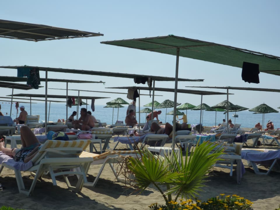 Sonnendächer am Strand Kırbıyık Resort Hotel - Alanya