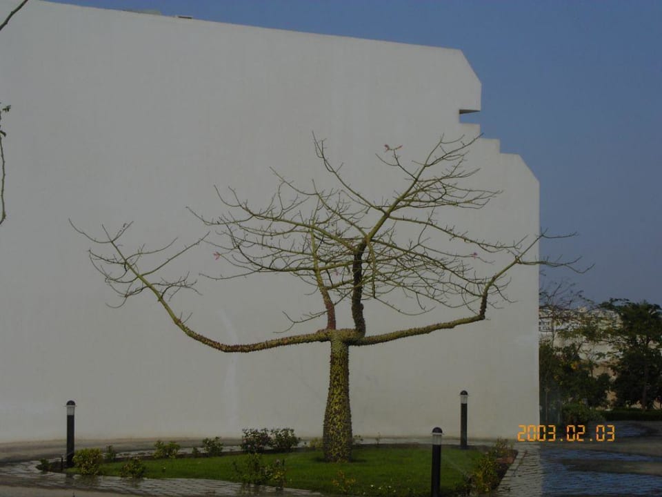 Hotel holiday inn Sultan Gardens Resort