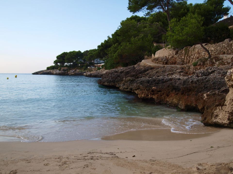 Strand direkt am Rocador  Grupotel Rocador