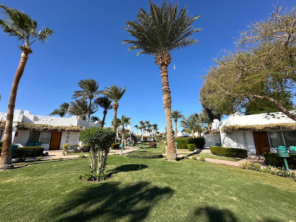 Gartenanlage Shams Safaga Resort