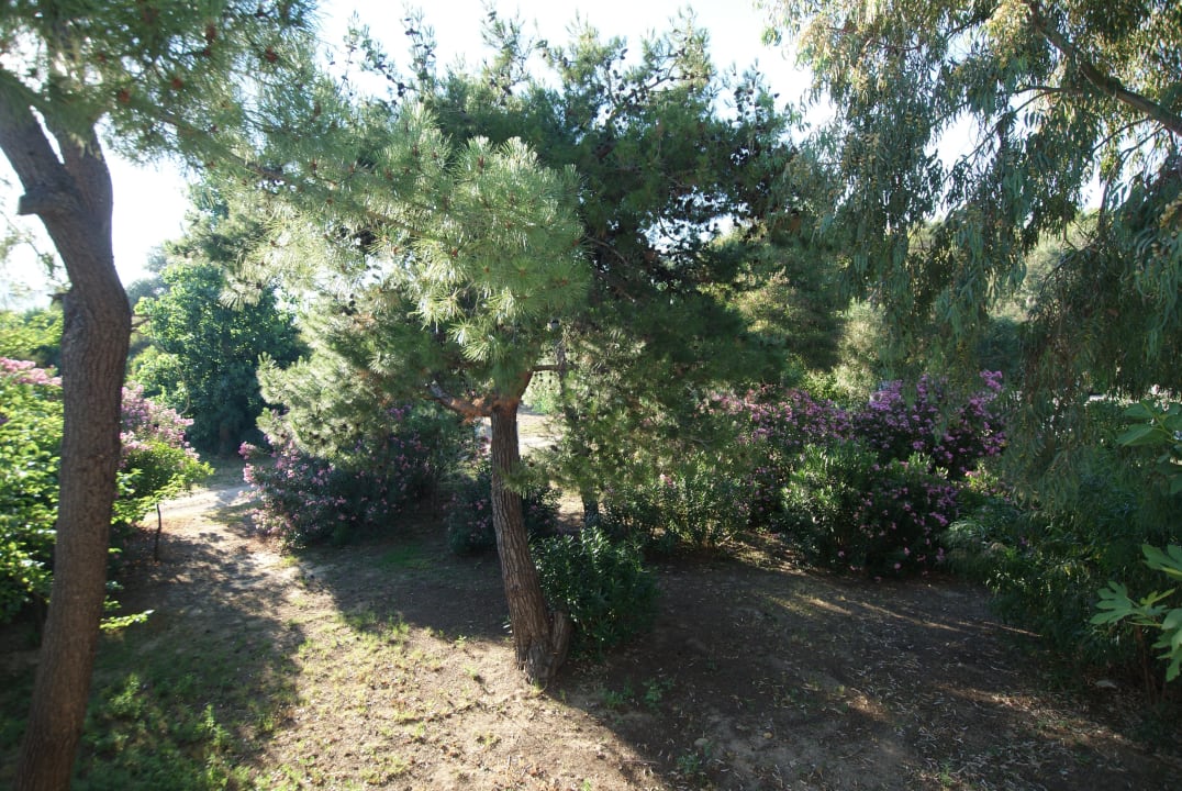 Ogrod Domes Aulūs Zante, Autograph Collection