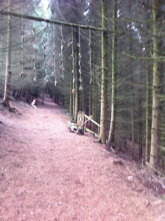 Der Zauberwald hinter dem Hotel Familienhotel Ebbinghof