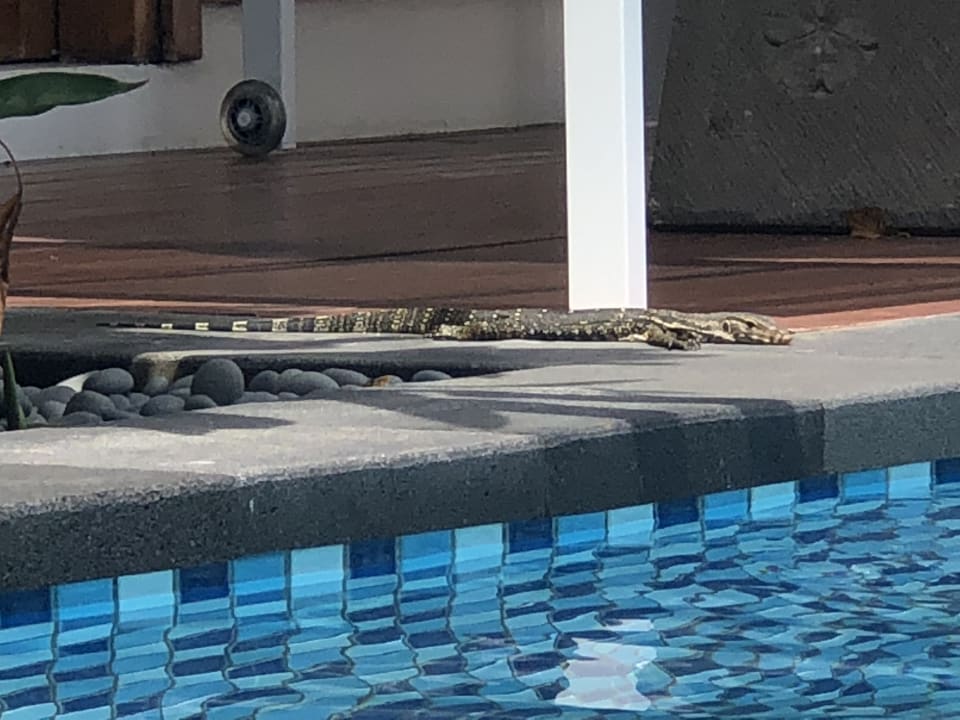 Zimmer Paradisus by Melia Bali