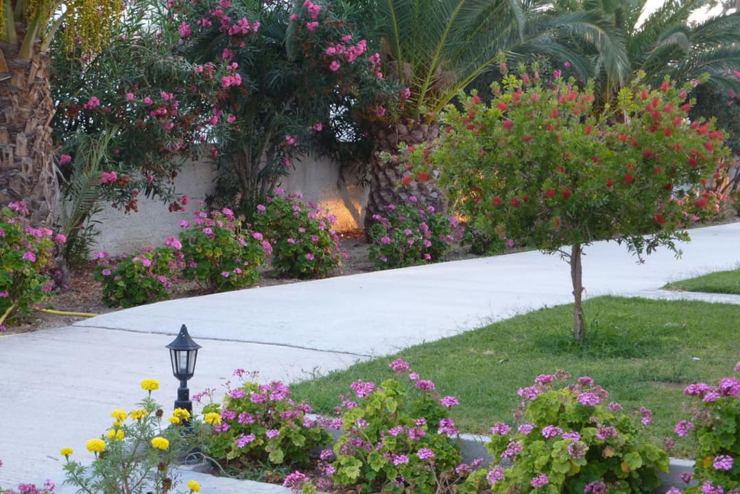 Esperia garden Hotel Esperia