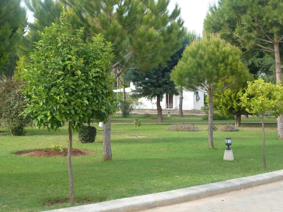 Siedlungsanlage vor dem Hotel Venosa Beach Resort & Spa