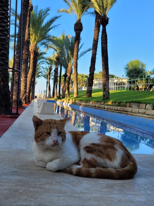 Sonstiges Monachus Family Resort Sorgun