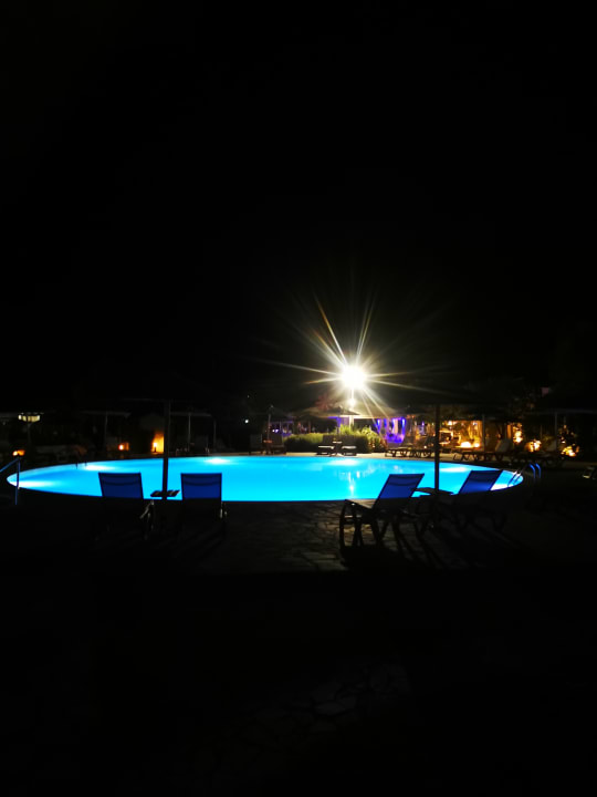 Pool Hotel Albatros