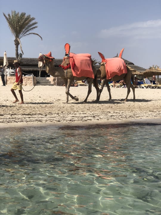 Strand Calimera Yati Beach