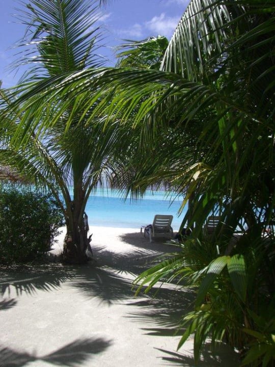 Blick zum Meer Cinnamon Dhonveli Maldives