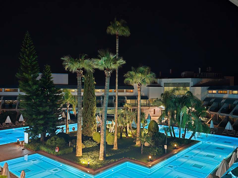 Pool Side Star Elegance