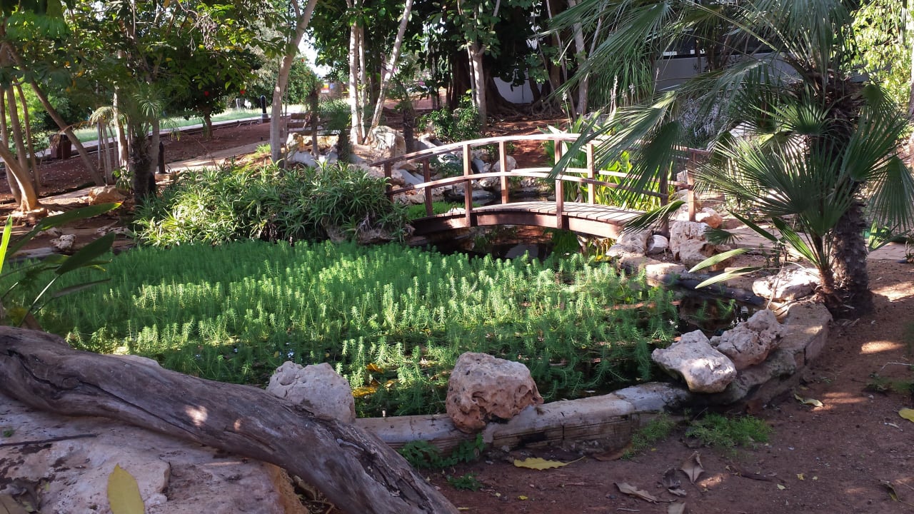 Garten Hotel Grecian Bay