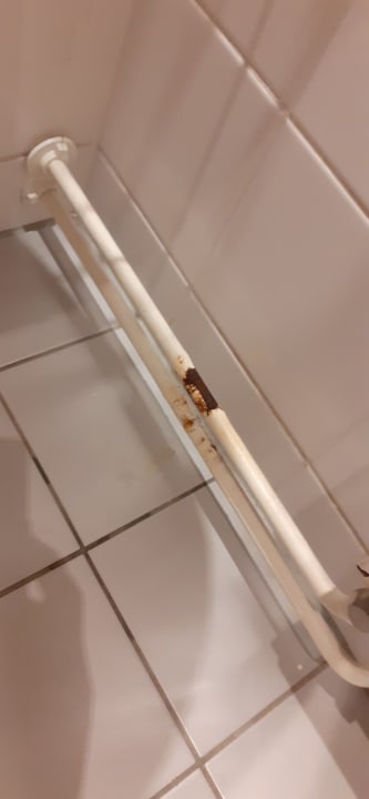 Zimmer AHORN Waldhotel Altenberg