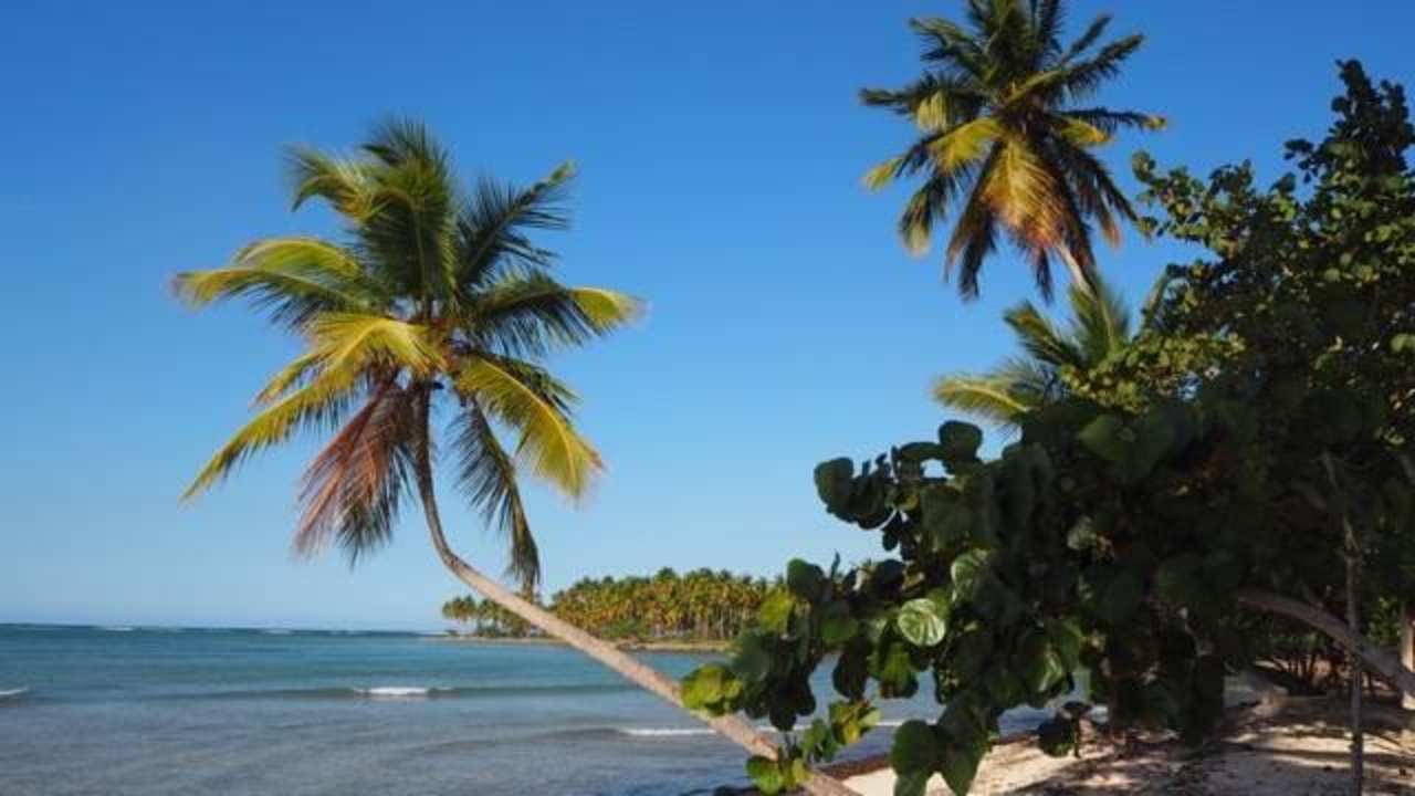 Strand in Richtung Las Galeras Wyndham Alltra Samana