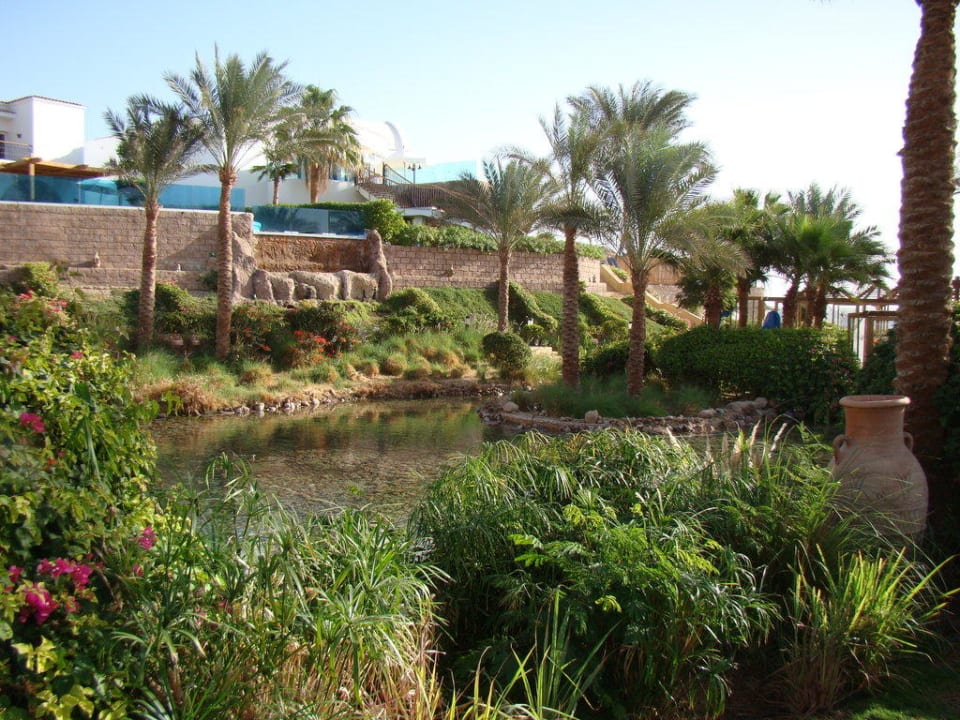 Сквер Savoy Sharm El Sheikh