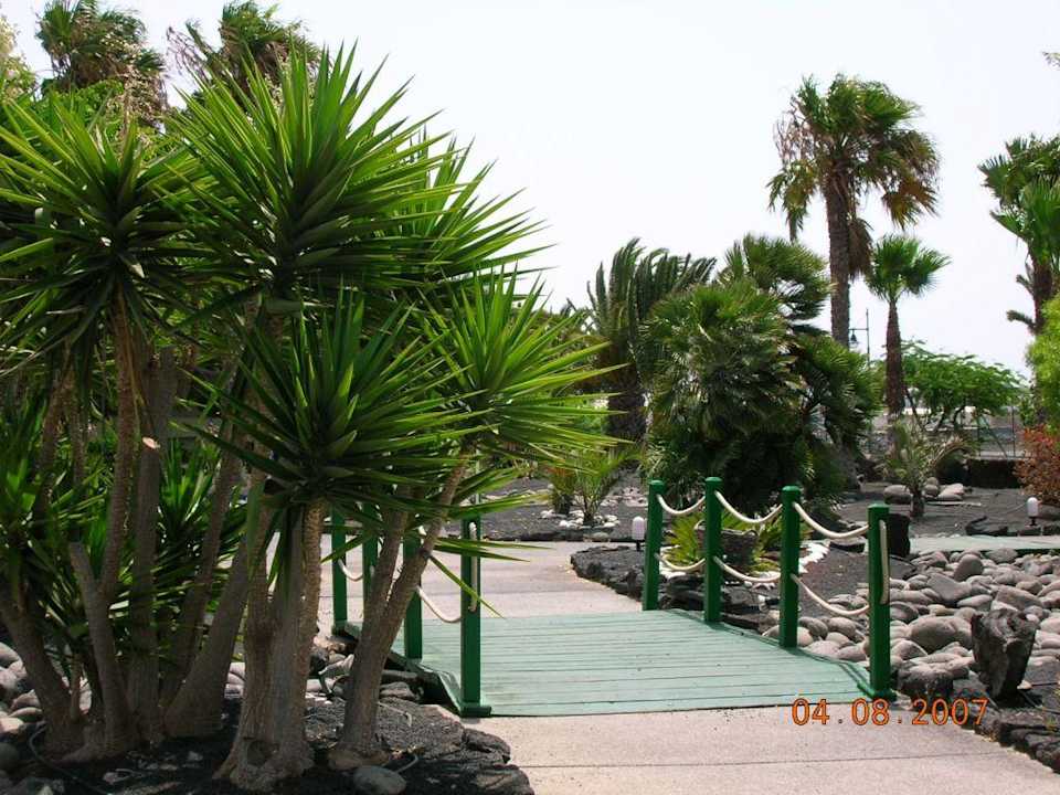 Hotel-Garten Dreams Lanzarote Playa Dorada Resort & Spa