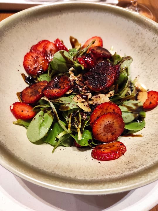 Gastro Acanthus Cennet Barut Collection