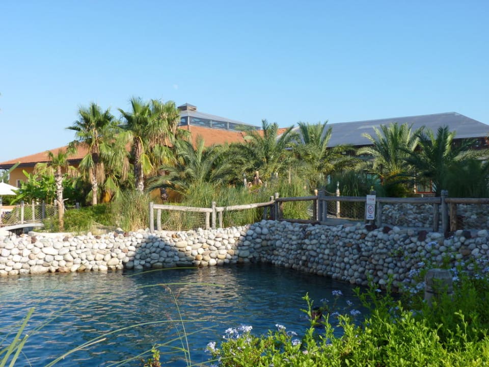 Gartenanlage hinterm Pool Club Grand Aqua