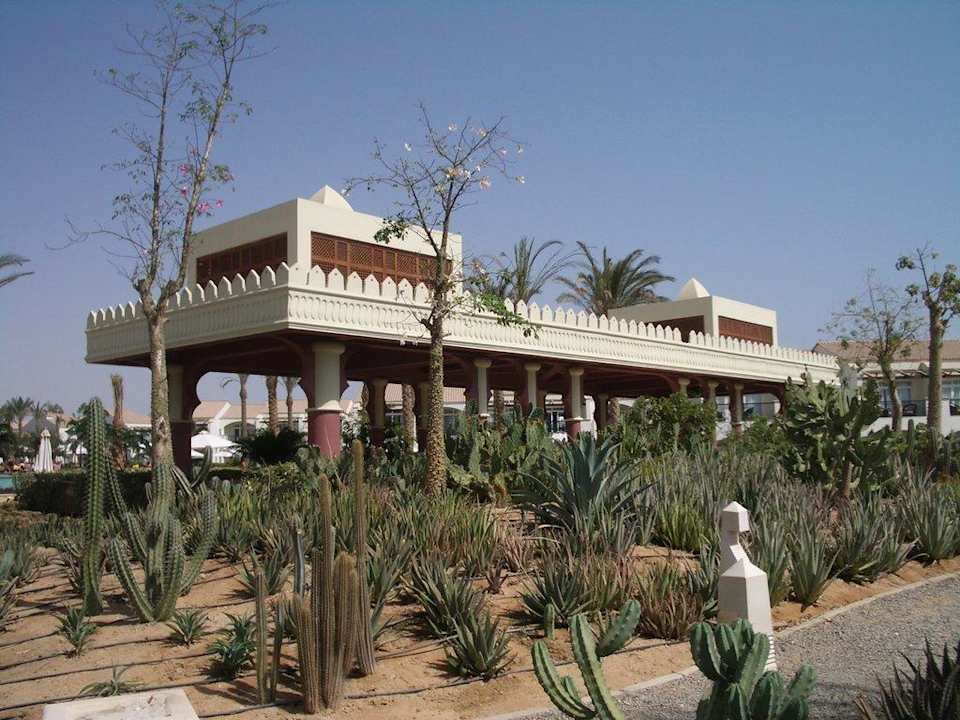 Kakteengarten Reef Oasis Blue Bay Resort