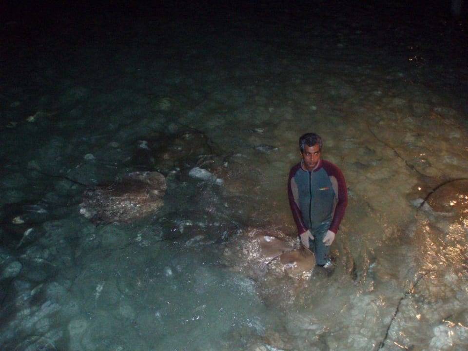 Rochenfütterung Kuramathi Maldives