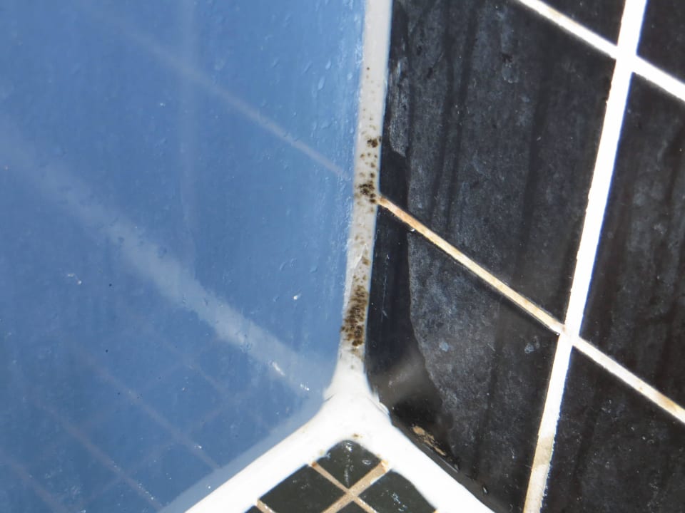 Schimmelbildung in der Dusche, Links das Milchglas Best Western Plus Amedia Art Salzburg