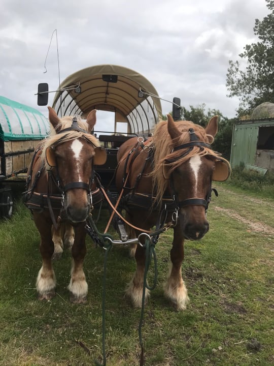 Sport & Freizeit Lindner Hotel Sylt