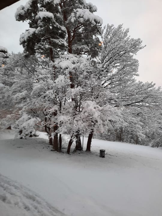 Garten Hotel Sonnenhügel