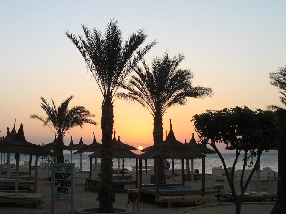 Zonsopkomst Beach Albatros Resort
