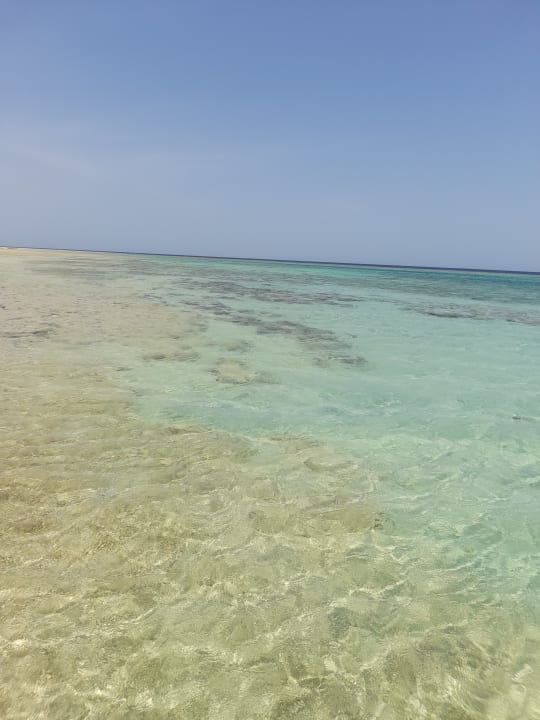 Strand Hotel Gorgonia Beach Resort